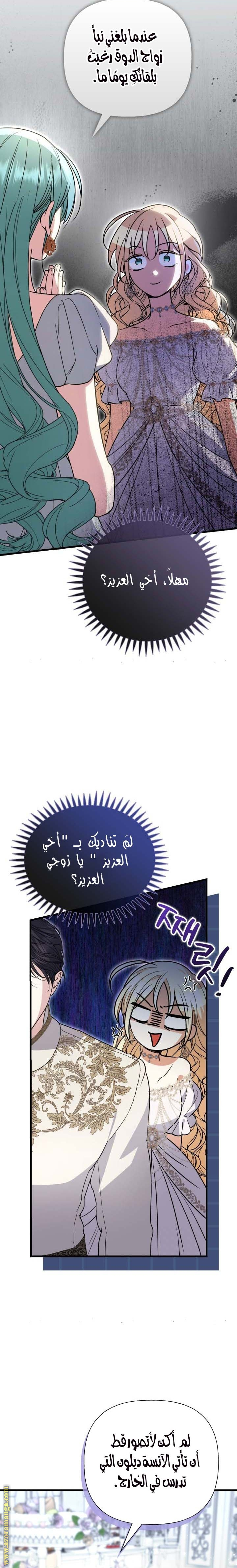 الصفحة 13