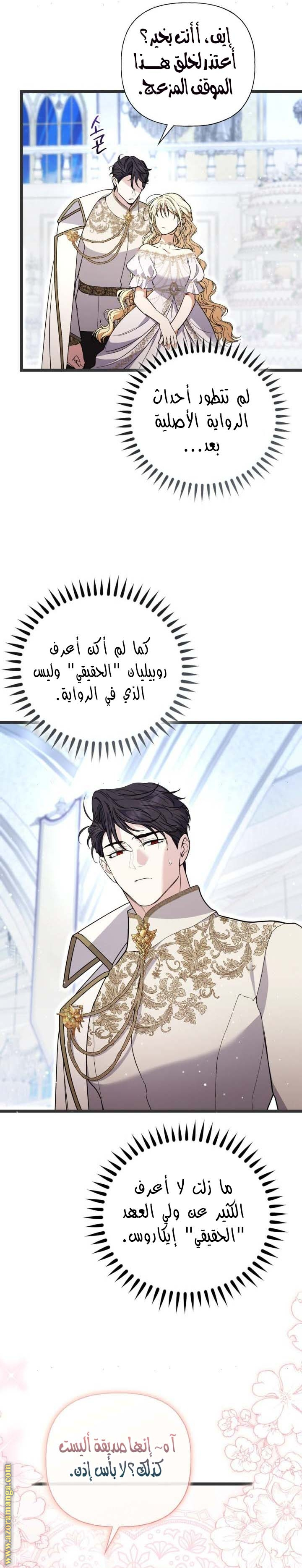 الصفحة 26