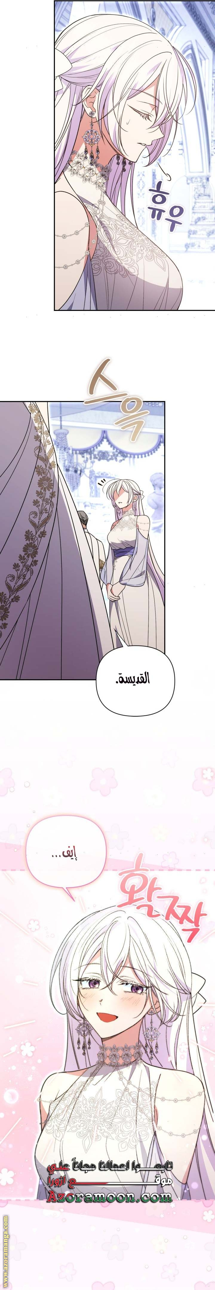 الصفحة 12
