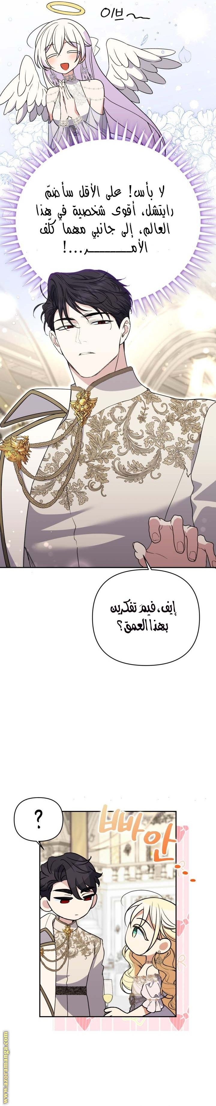 الصفحة 13