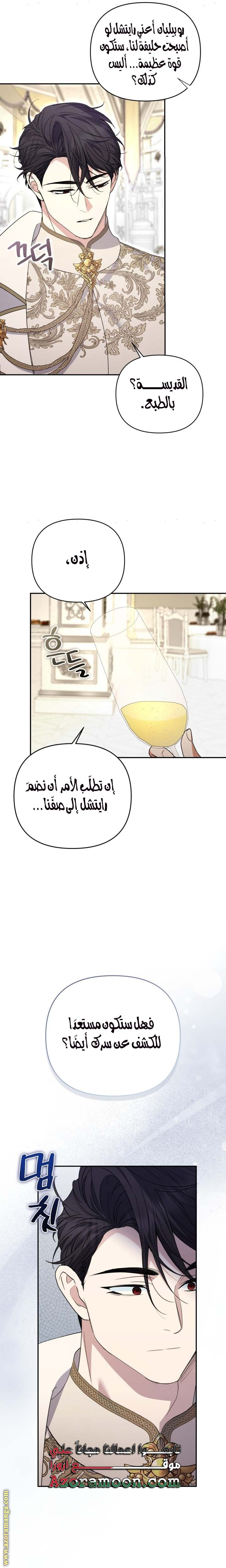 الصفحة 14