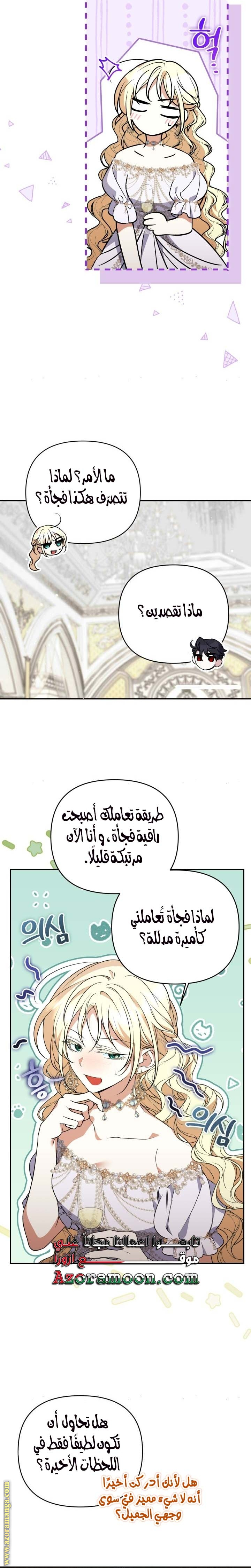 الصفحة 17