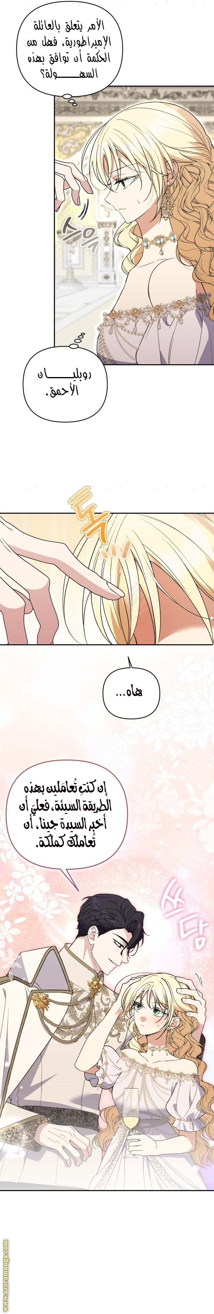 الصفحة 20