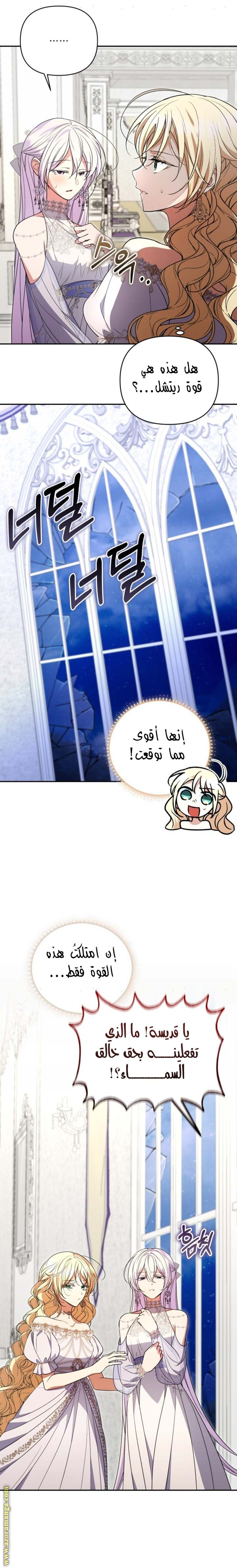 الصفحة 11