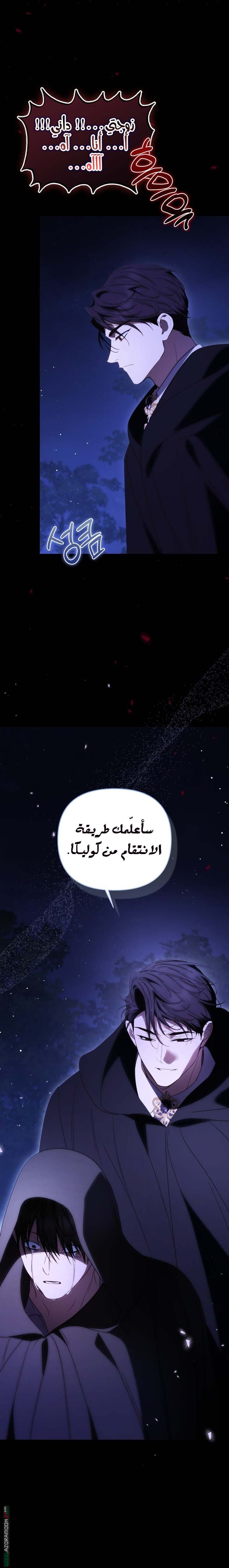 الصفحة 14