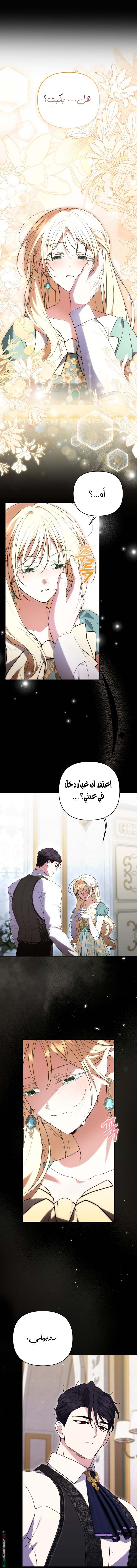 الصفحة 3