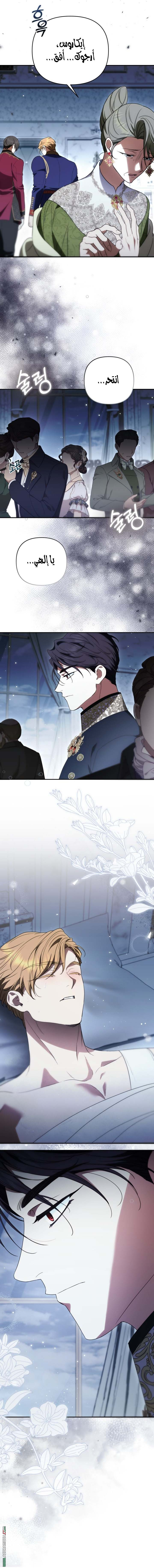 الصفحة 15