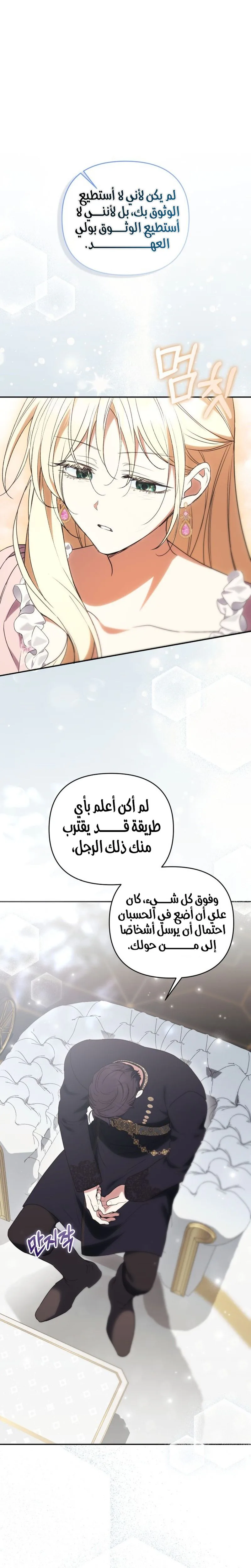 الصفحة 17
