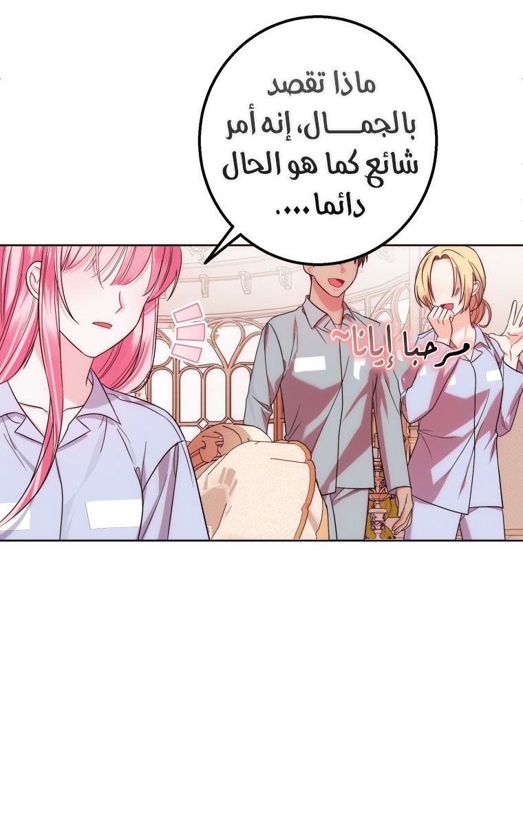 الصفحة 20