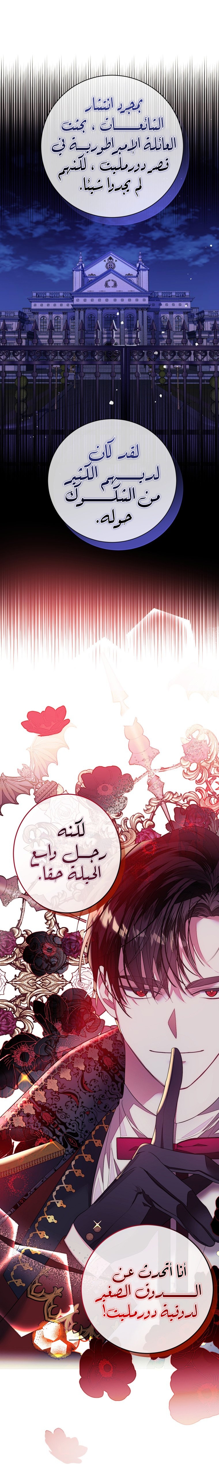 الصفحة 28
