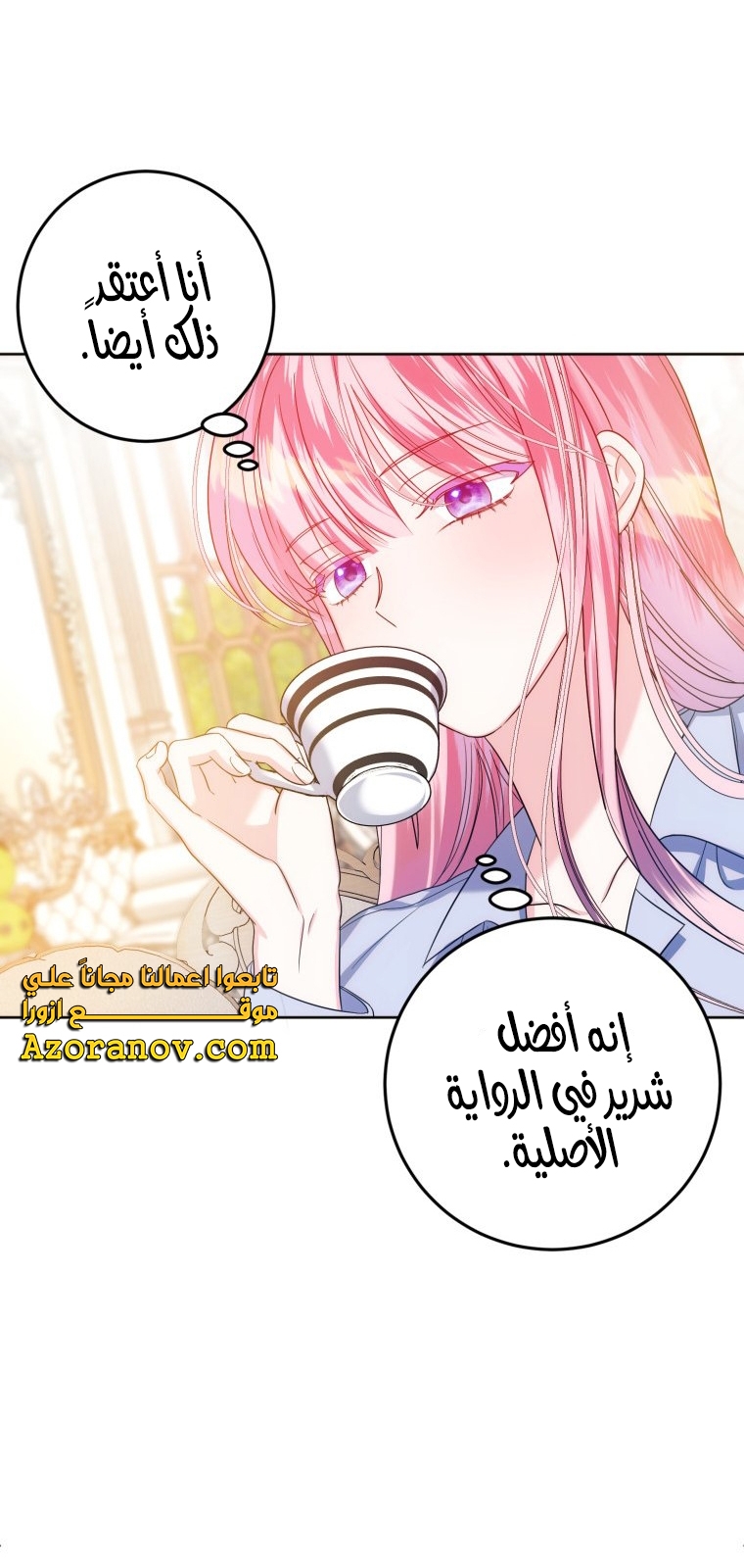 الصفحة 29