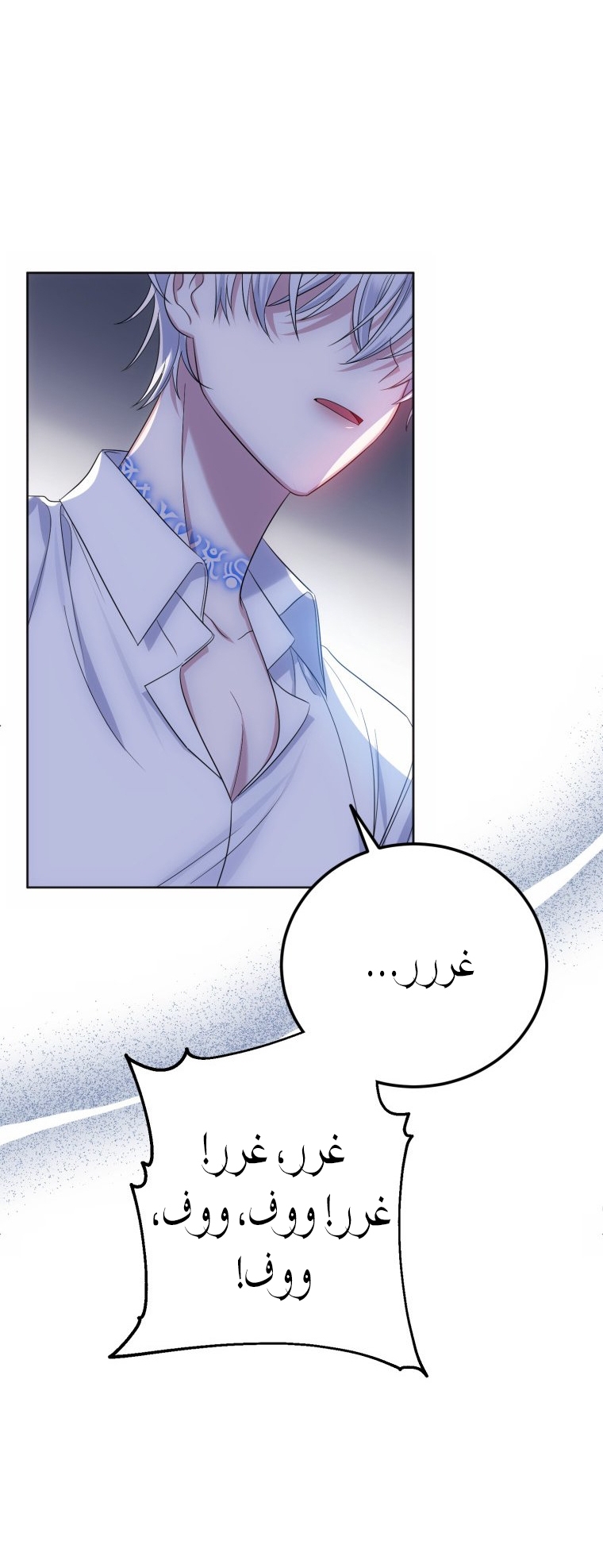 الصفحة 43