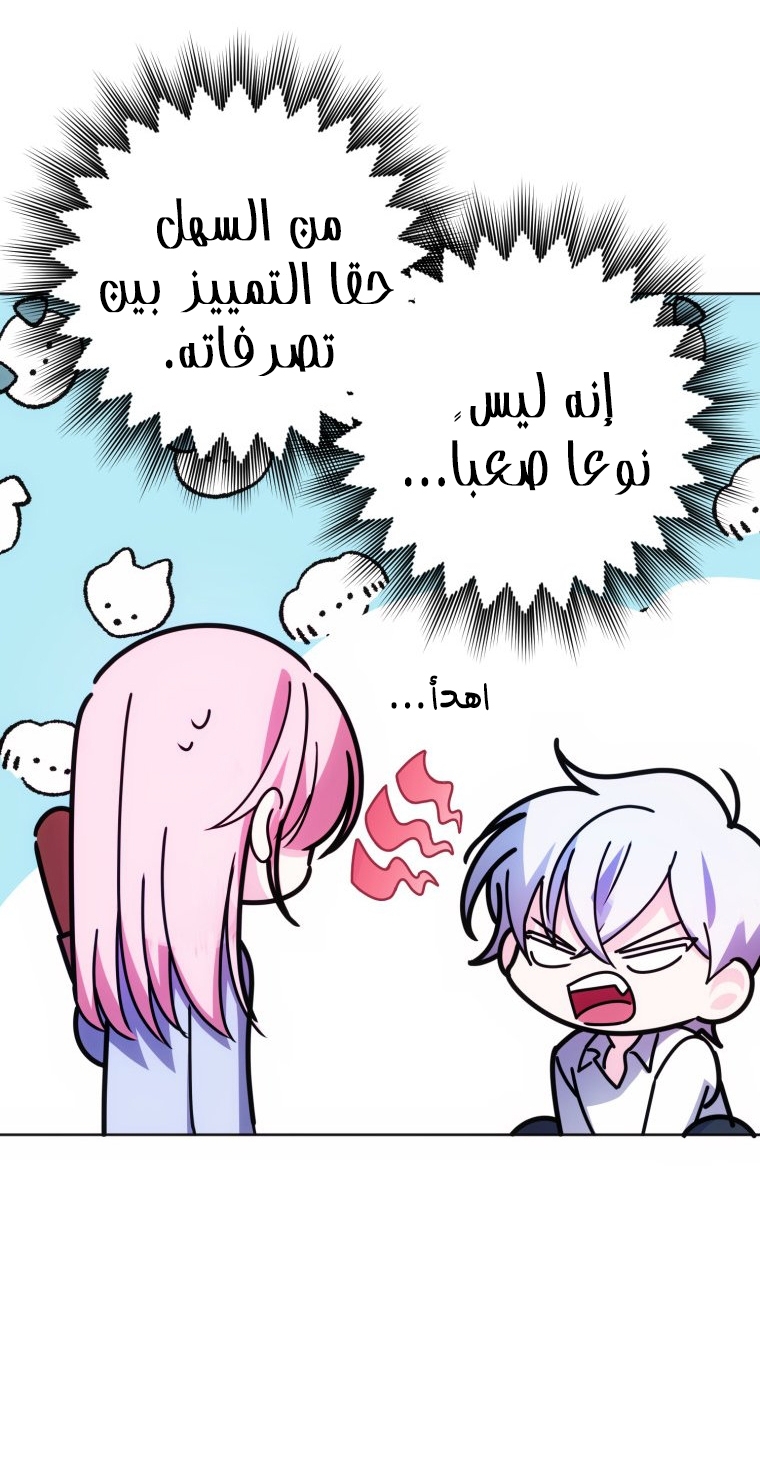 الصفحة 47