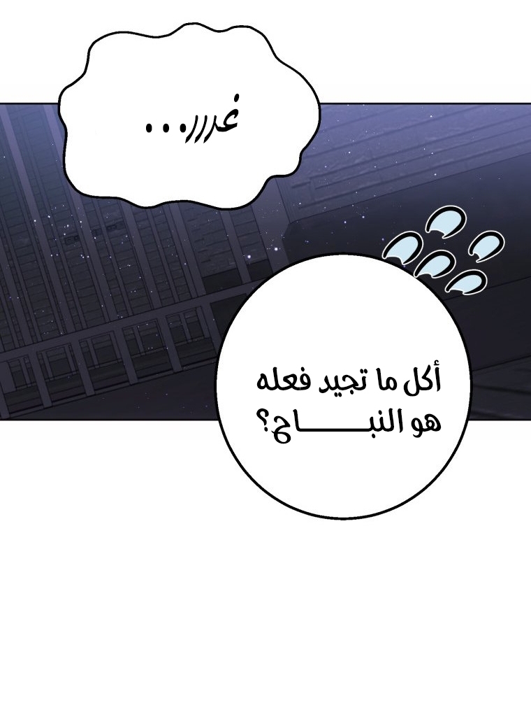 الصفحة 48