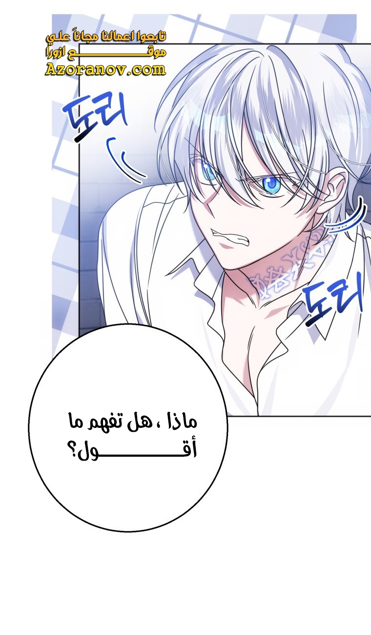الصفحة 49