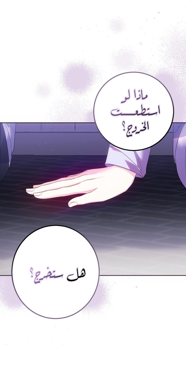 الصفحة 71