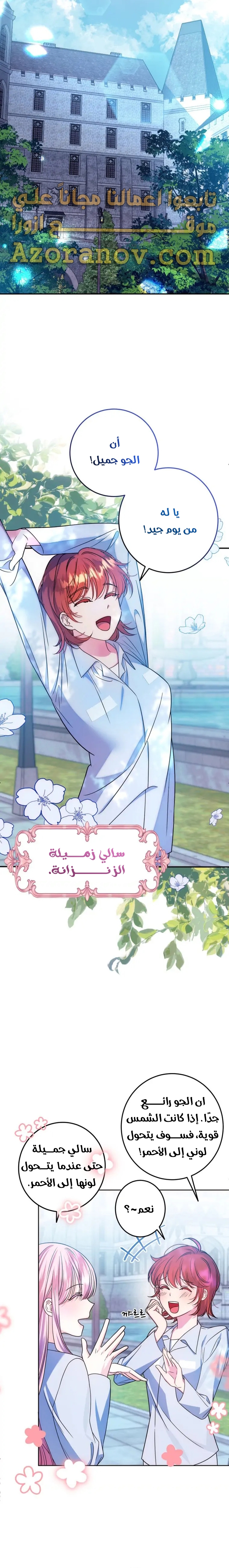 الصفحة 19