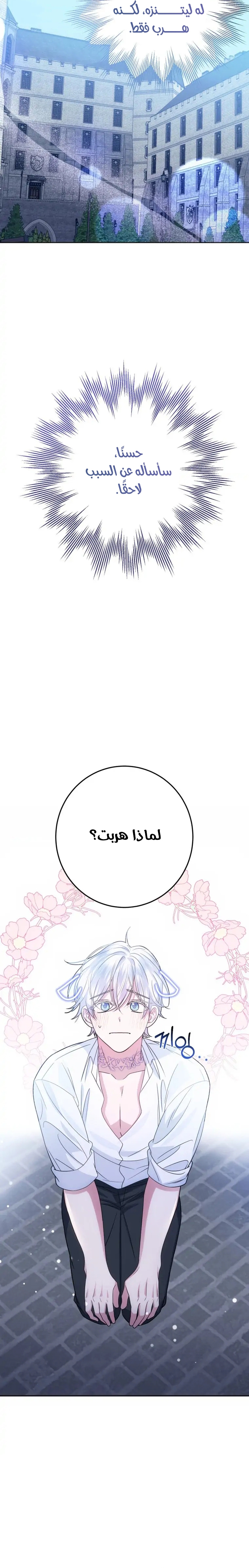 الصفحة 24