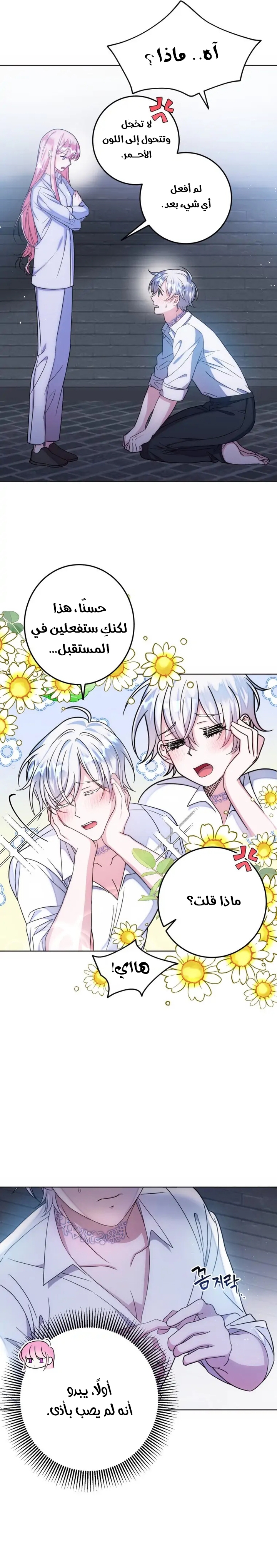 الصفحة 25