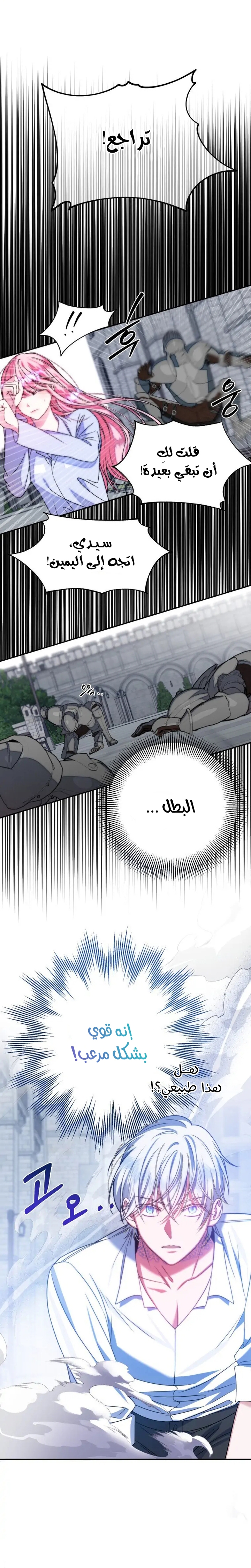 الصفحة 20