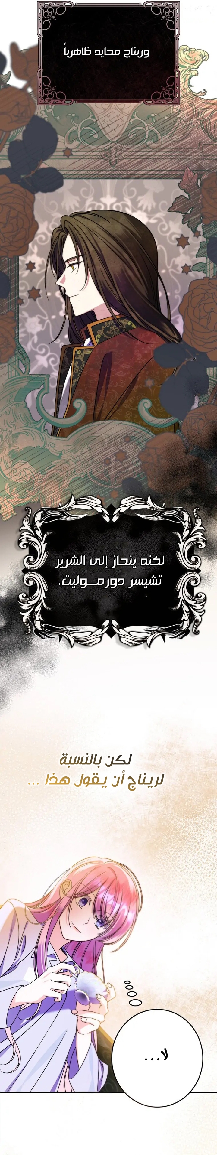 الصفحة 24
