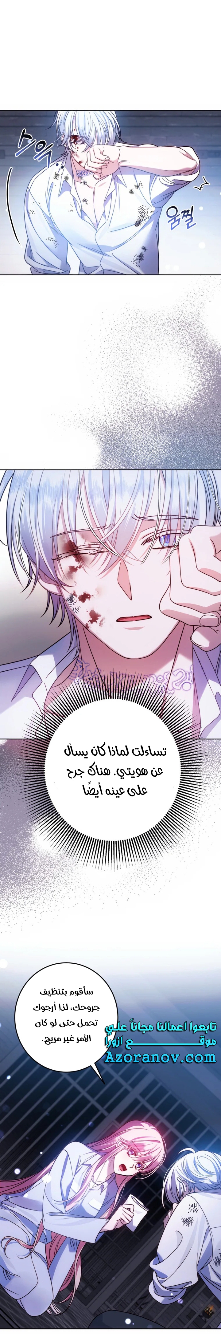 الصفحة 21