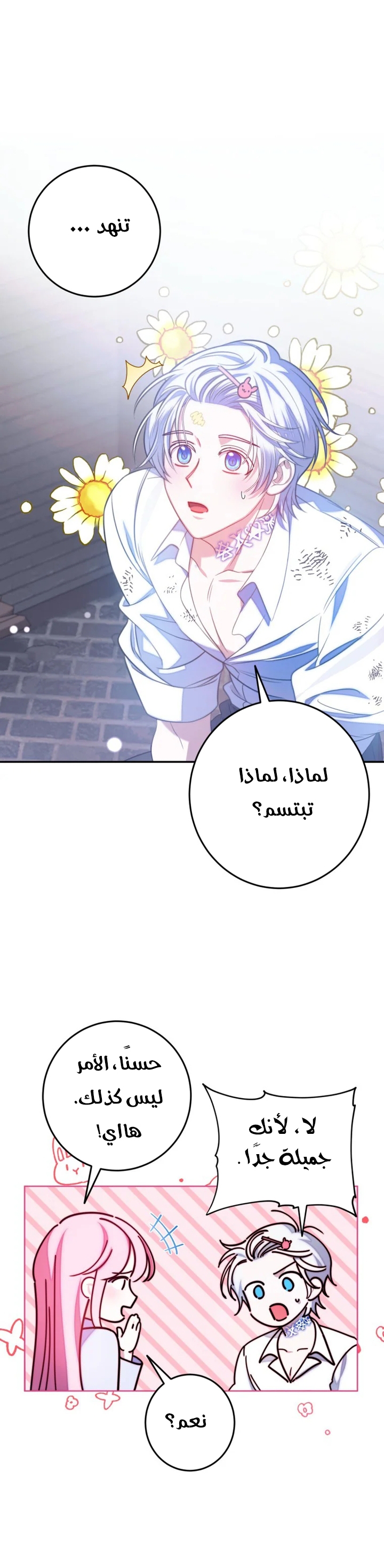 الصفحة 24