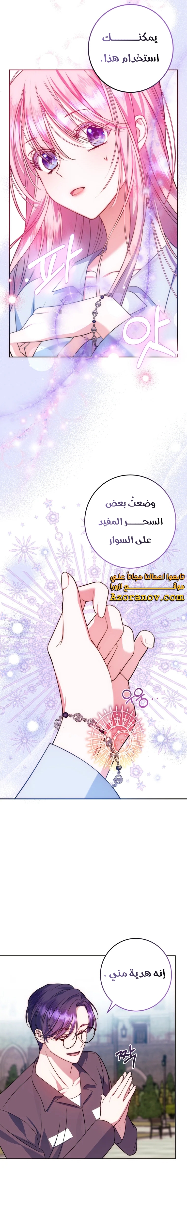 الصفحة 13