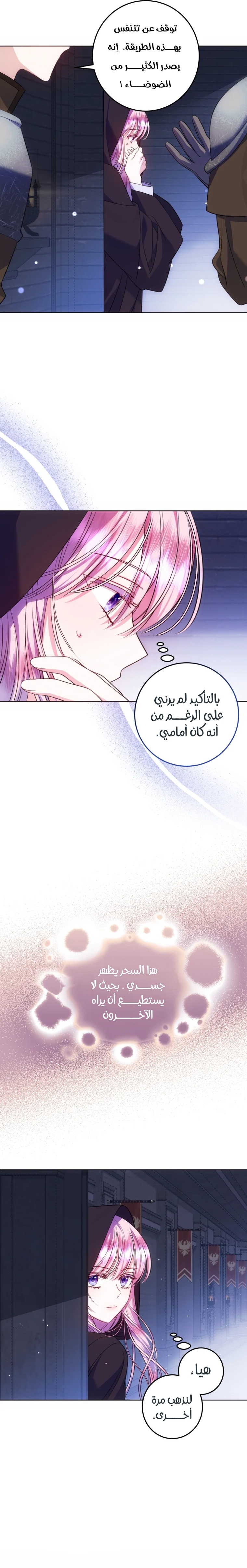 الصفحة 27