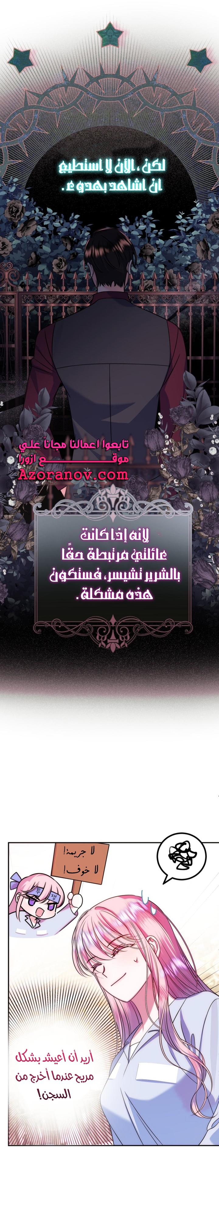 الصفحة 29