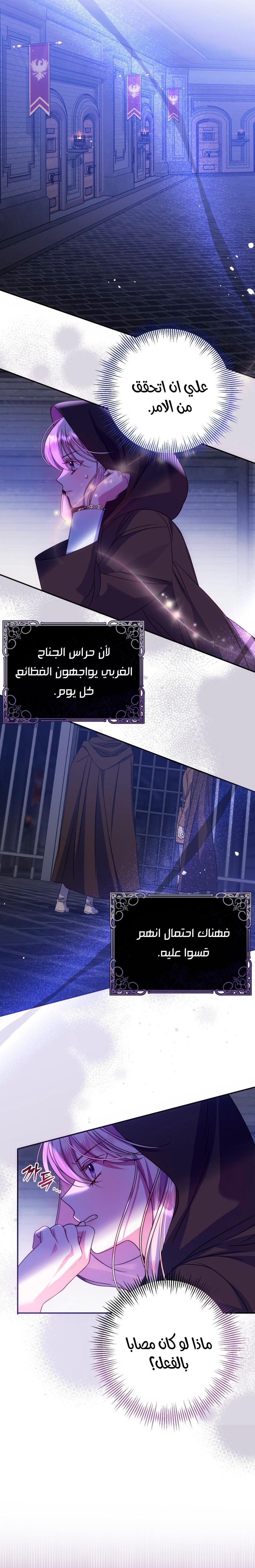 الصفحة 13