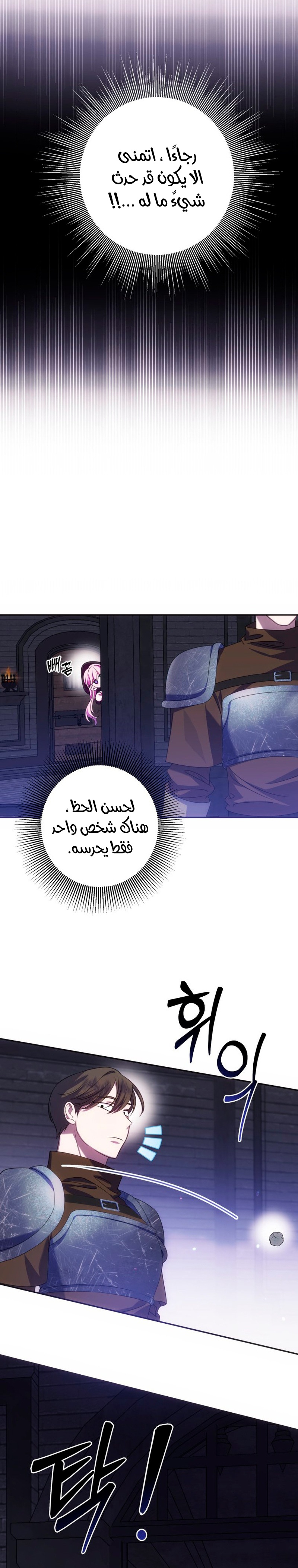 الصفحة 14