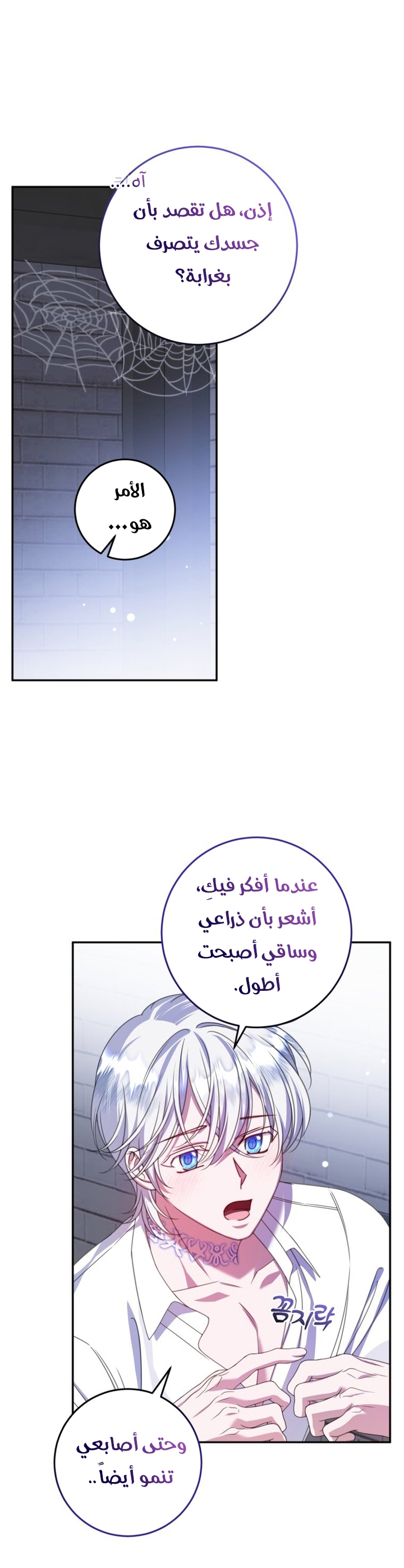 الصفحة 5