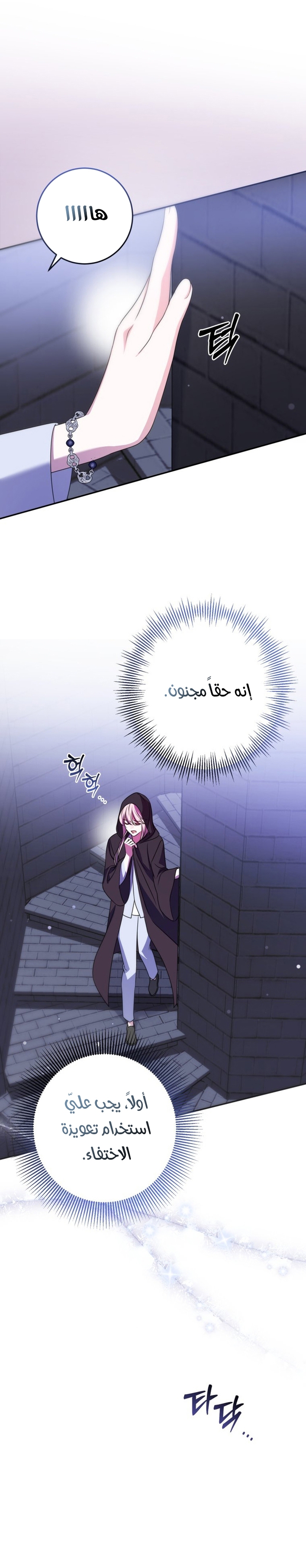 الصفحة 25