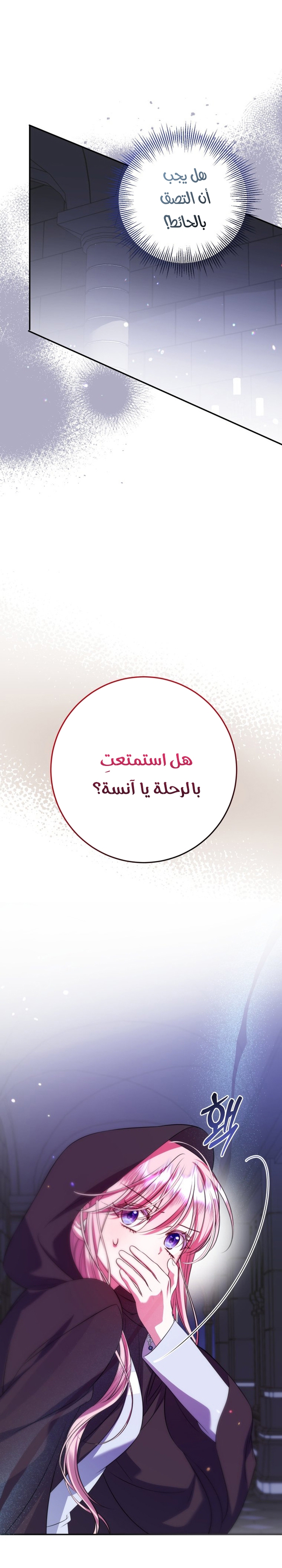الصفحة 28