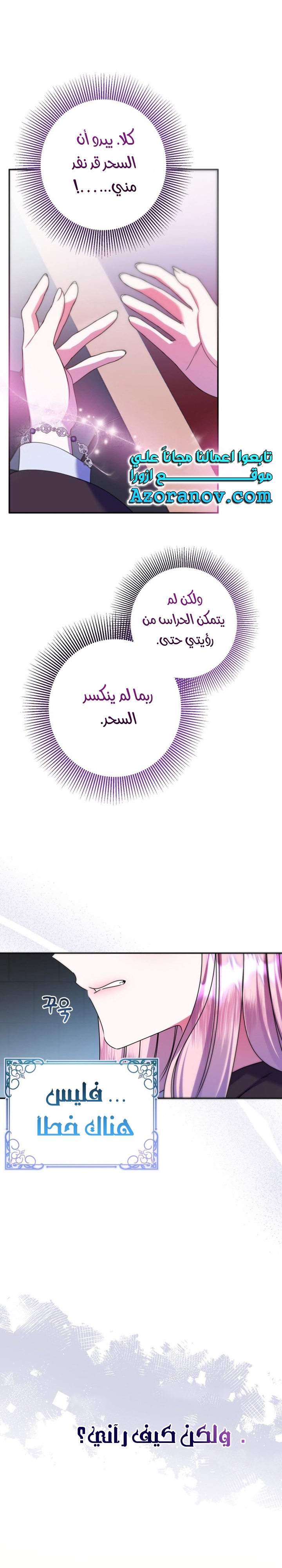 الصفحة 30