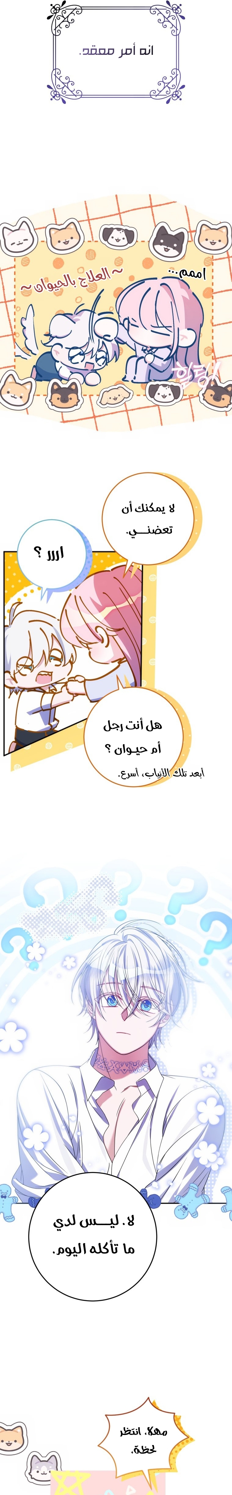 الصفحة 18