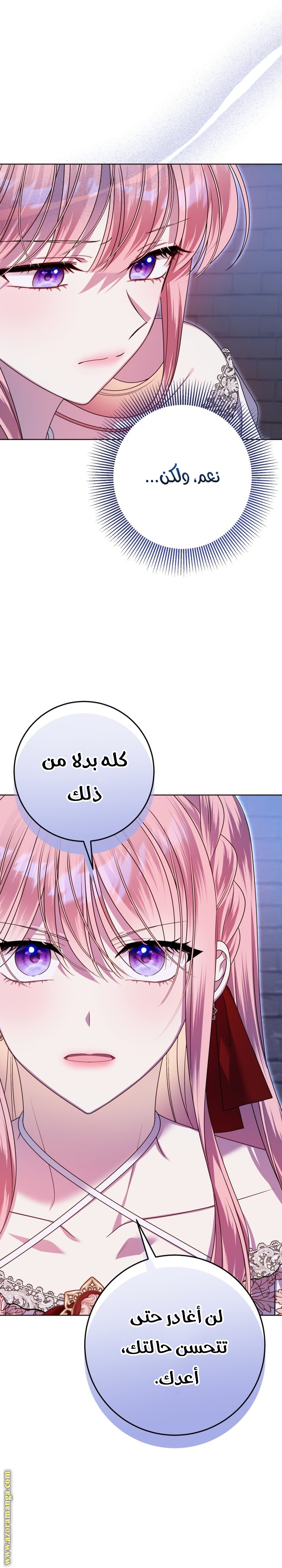 الصفحة 30