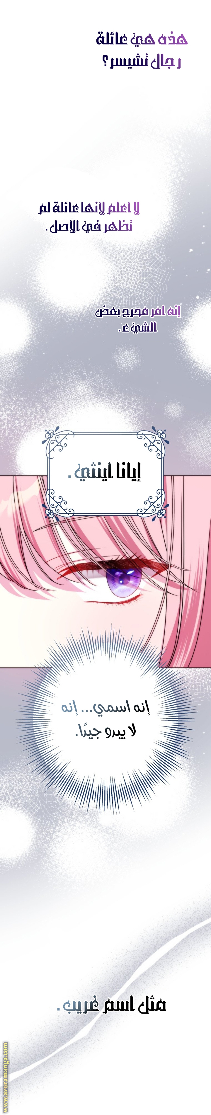 الصفحة 13
