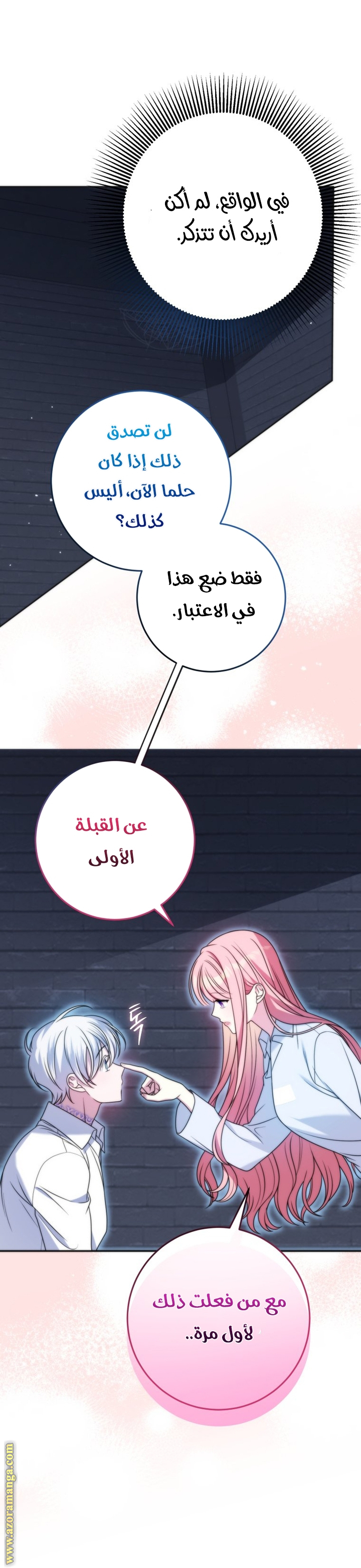 الصفحة 46