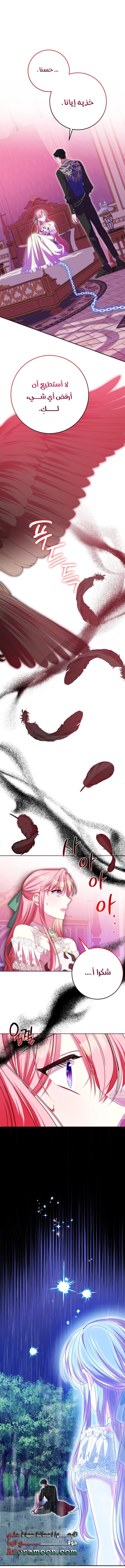 الصفحة 18