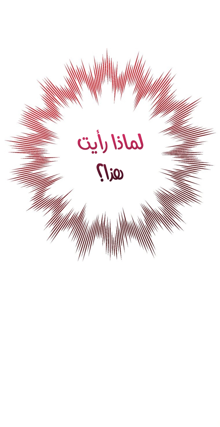 الصفحة 24