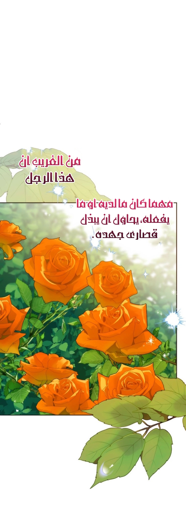 الصفحة 34