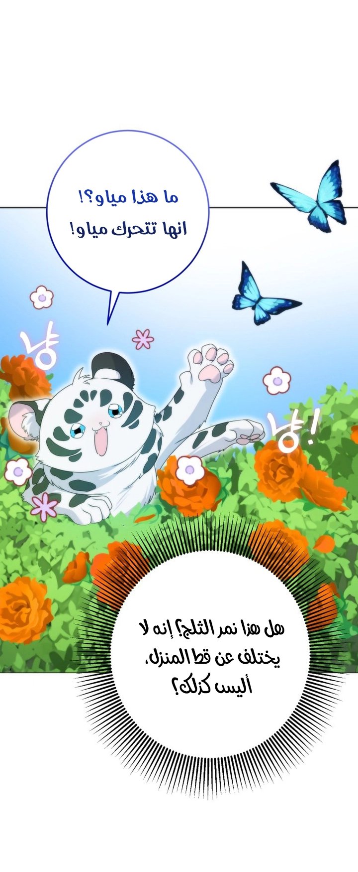 الصفحة 39
