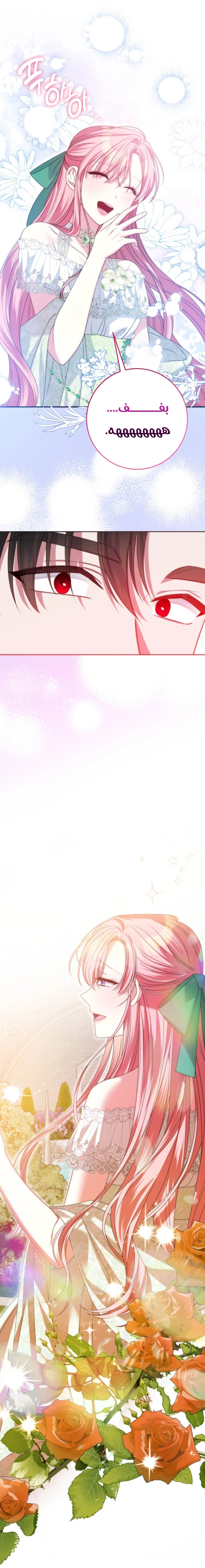 الصفحة 41