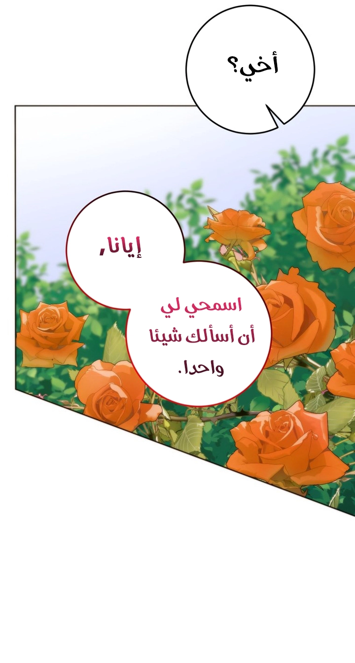 الصفحة 43