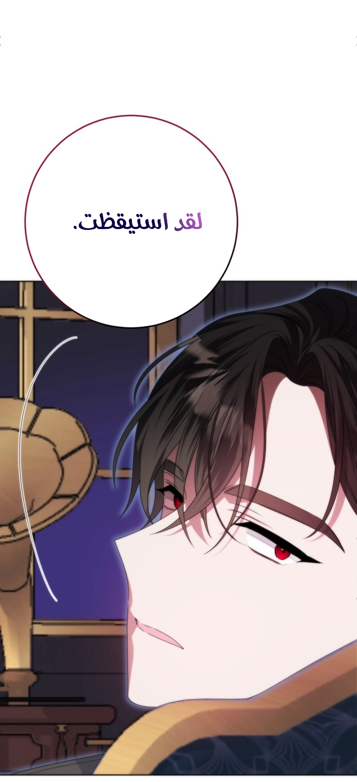 الصفحة 26