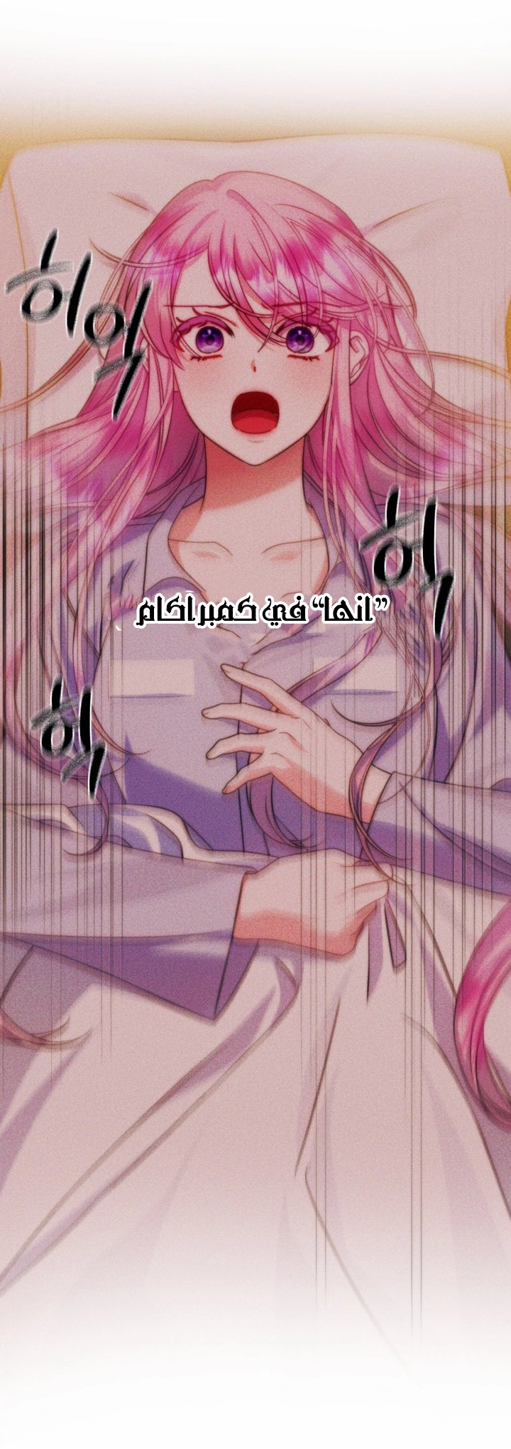 الصفحة 29