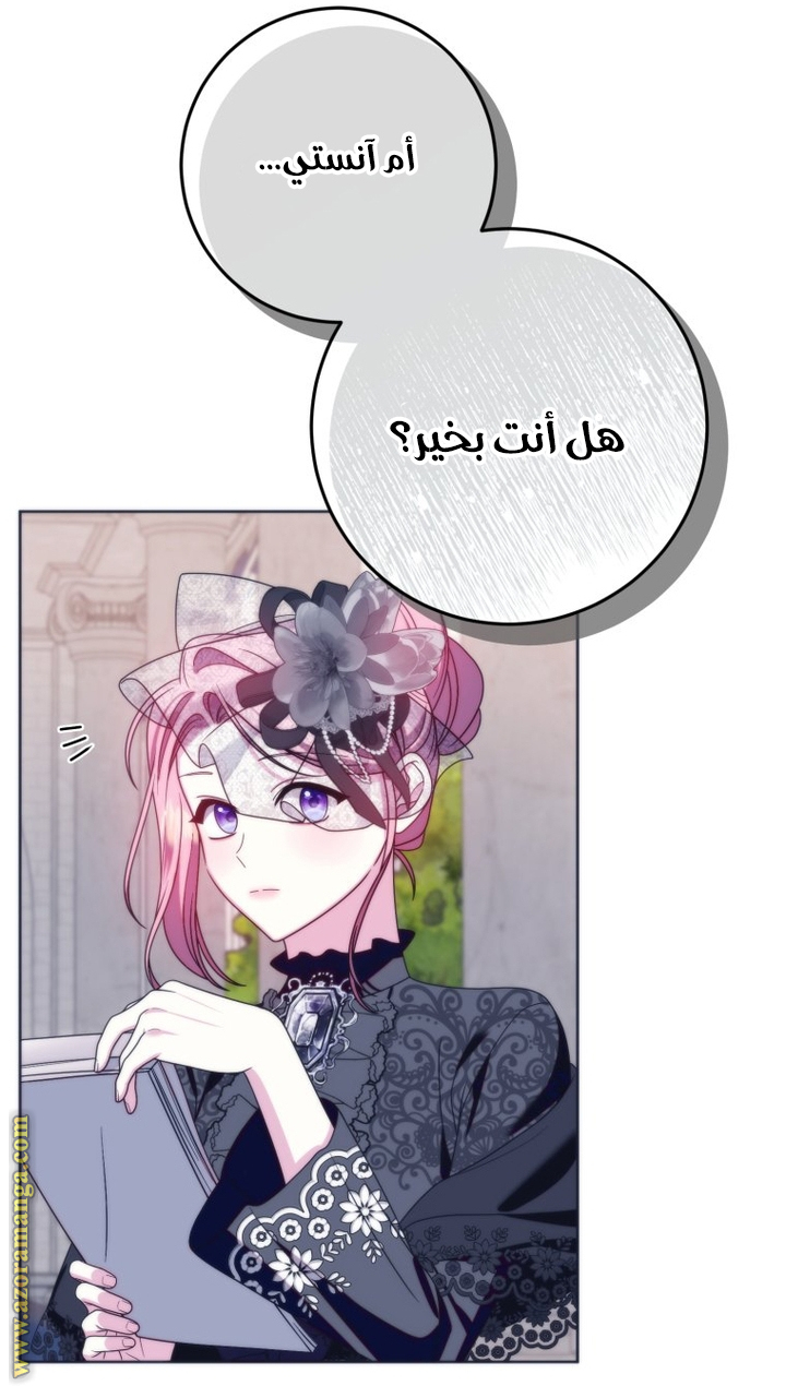 الصفحة 41