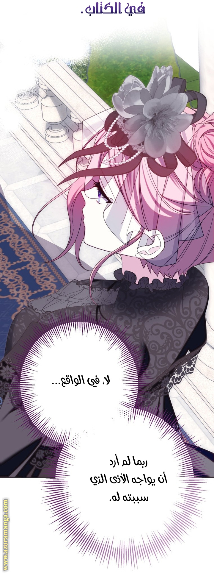 الصفحة 11